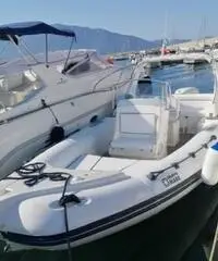 Gommone Pholas 23 con motore Evinrude Gommone Pholas 23 con motore Evinrude