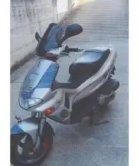Gilera Runner 180 - 2000 Gilera Runner 180 - 2000