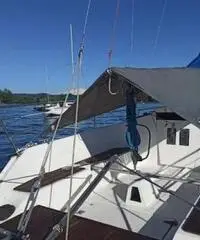 Barca a Vela Tango 7.30