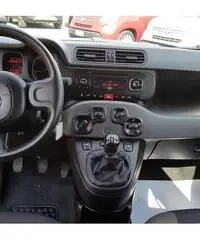 Fiat Panda 1.2 69cv S&S Easy E6D (KM0)