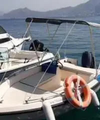 Barca con motore