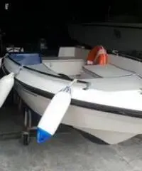 Barca con motore