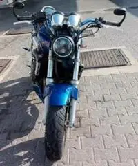 Honda Hornet - 1999 Honda Hornet - 1999