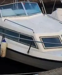 Gommone e motore Gommone e motore