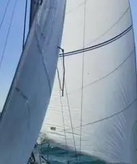Barca vela Barca vela