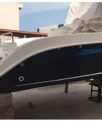 Barca a motore Barca a motore