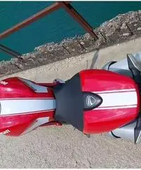 Ducati Monster 696 Plus Ducati Monster 696 Plus