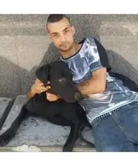 Dopo 6 anni ricerco te Dopo 6 anni ricerco te