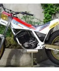 Trial 125.3 serie 2 Professional FM 361  anno 1987 Trial 125.3 serie 2 Professional FM 361  anno 1987