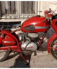 Altro Altro modello - 1954 Altro Altro modello - 1954