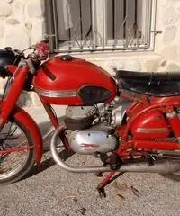 Altro Altro modello - 1954 Altro Altro modello - 1954