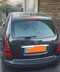 Lancia Musa Lancia Musa