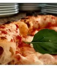 Pizzaiolo Pizzaiolo