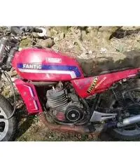 Fantic Motor strada- 1984 Fantic Motor strada- 1984