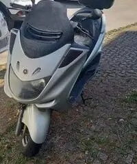 Majesty 250 Majesty 250