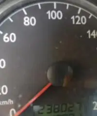 Polo Polo