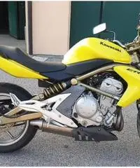 Kawasaki Er6N