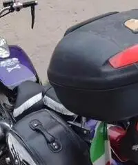 Honda Shadow - 1997 Honda Shadow - 1997