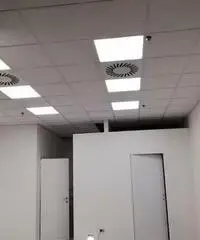 Imbianchino Imbianchino