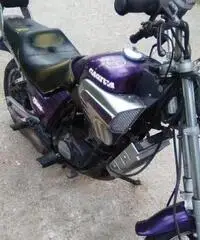 Cagiva blues Cagiva blues