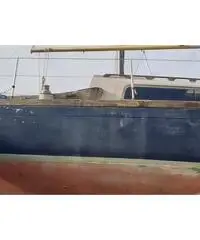 Vela natante Vela natante