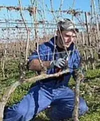 Operaio agricolo Operaio agricolo