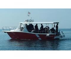 Barcaa motore professionale diving