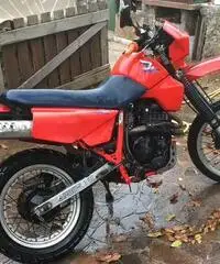 Honda XL 600 Honda XL 600