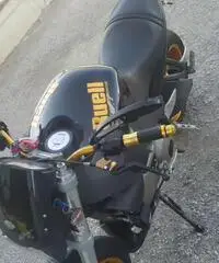 Buell Buell