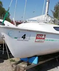 Barca a vela Alpa 550