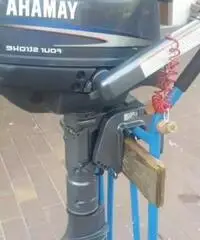 Selva cabin fish 5.5