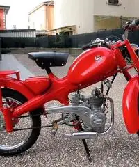 Motom 48 Motom 48