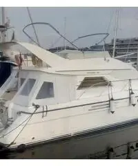 Princess 480 Princess 480