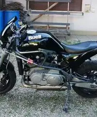 Buell Altro modello - 1995 Buell Altro modello - 1995