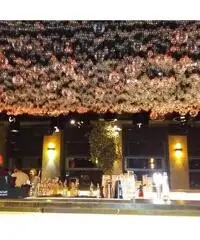 Ragazza dei miei sogni ci 6? Ragazza dei miei sogni ci 6?