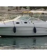 Barca a motore Monterey 262 cabin