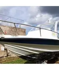 Barca cicala & Bertinetti Barca cicala & Bertinetti