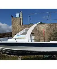 Barca cicala & Bertinetti Barca cicala & Bertinetti