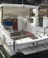 Cranchi C8 Cranchi C8