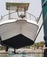Sessa key largo 20