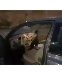 NISSAN Micra 3ª 2005 1200 16 v Km 130000 Reali