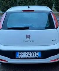 Fiat Punto Evo Punto Evo 1.3 Mjt 75 CV DPF 5 porte
