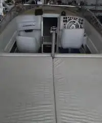 Primatist Bruno abbate 23 Primatist Bruno abbate 23