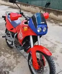 Aprilia Pegaso 125 - 1989 Aprilia Pegaso 125 - 1989