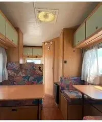 Ci carioca con garanzia legale 12 mesi