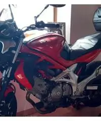 Suzuki SFV Gladius 650 - 2010 Suzuki SFV Gladius 650 - 2010