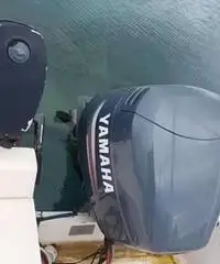 Barca Gobbi mt 7 motore yamaha 150cv Barca Gobbi mt 7 motore yamaha 150cv