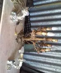 Mobili antichi e quadri al miglior offerente gr - Piemonte Mobili antichi e quadri al miglior offerente gr - Piemonte