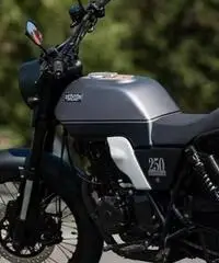 Brixton Glanville 250 - 2021