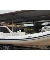 Predator 599 Predator 599